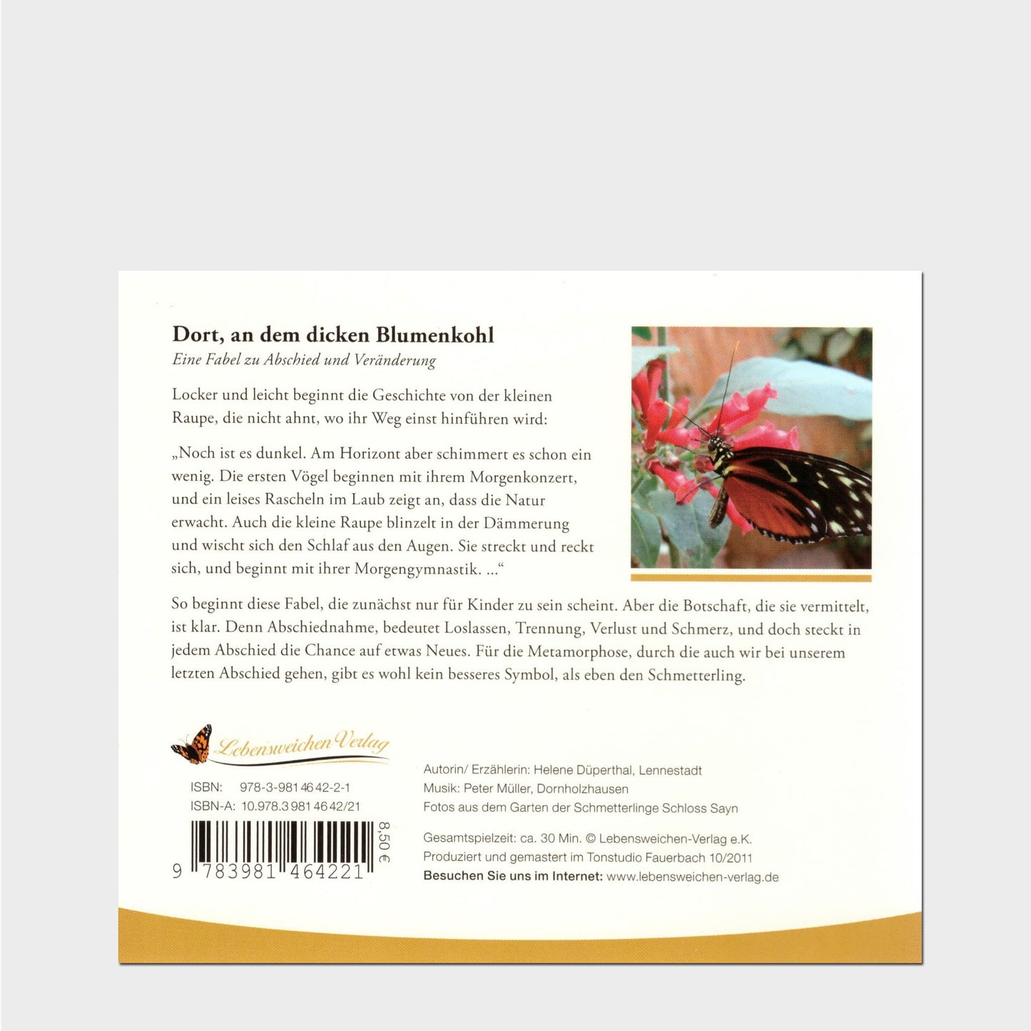 Dort, an dem dicken Blumenkohl