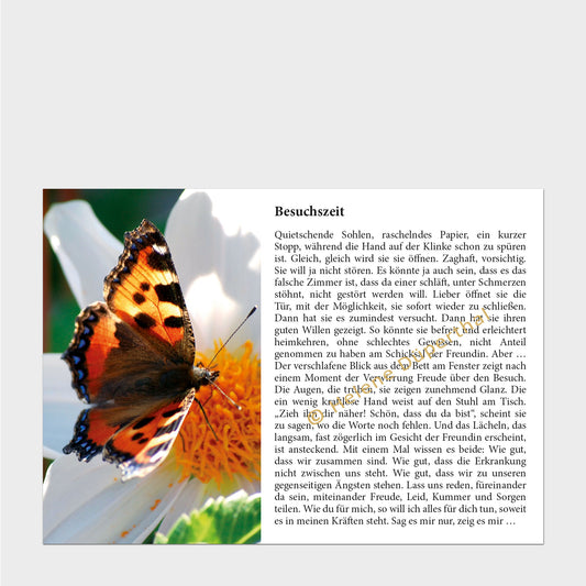 Ein Schmetterling auf weißer Blüte und daneben eine Geschichte
