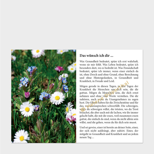 Eine Blumenwiese und daneben eine Geschichte
