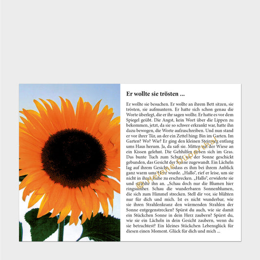 Eine blühende Sonnenblume vor blauem Himmel und daneben eine Geschichte