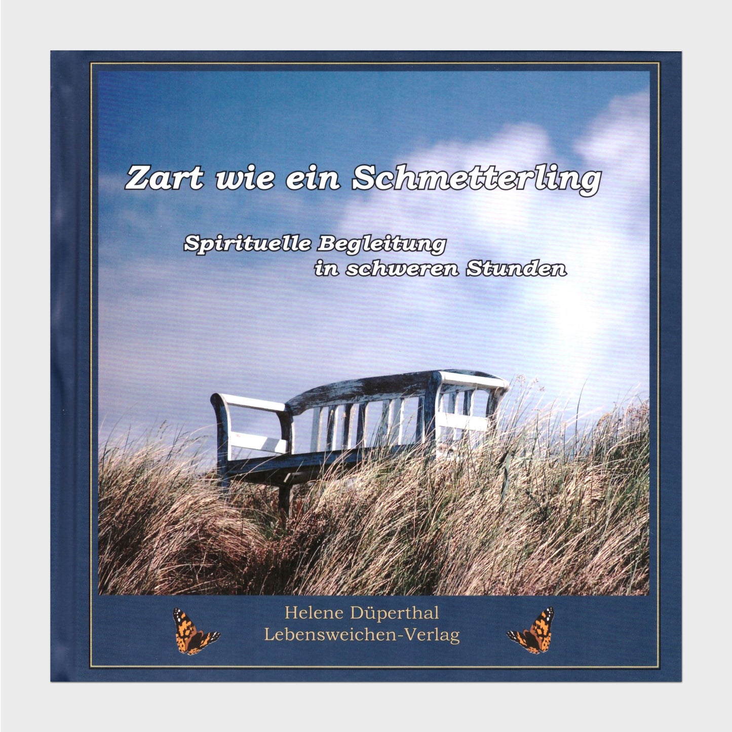Buchcover Blauer Himmel und eine Bank im Schilf die zum Sitzen einlädt